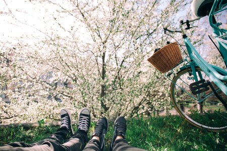 Flowers footwear grass photo