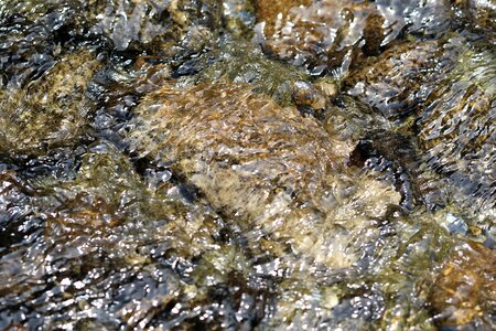 Cool nature streams
