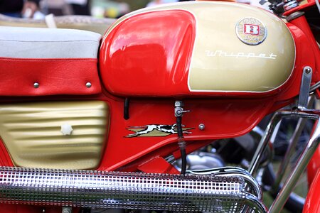 Engine batavus whippet