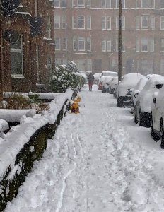 Snowy Street photo