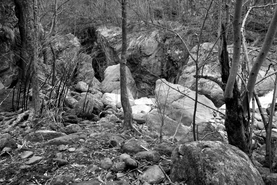 Chiusella valley. Best viewed large. photo