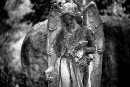 Angel. Staglieno-Genova monumental cemetery. photo
