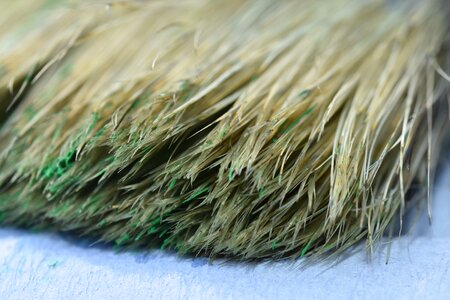 Paint color bristles