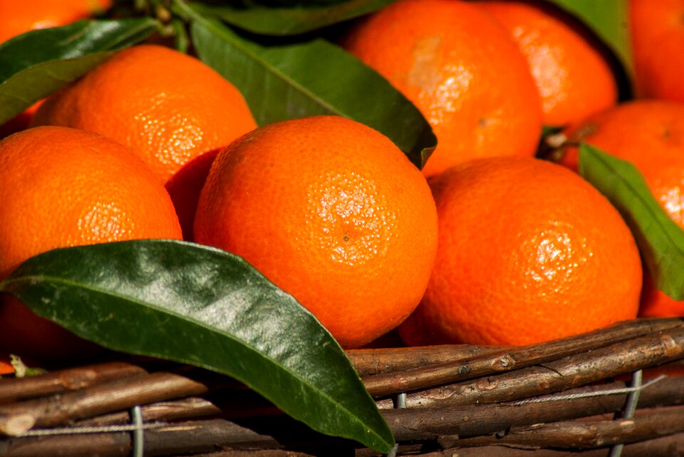 Clementines citrus mandarins