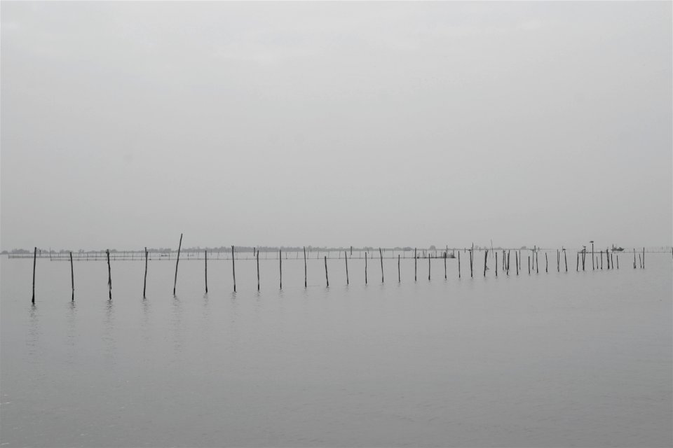 Po river delta.