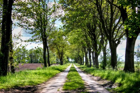 Wanderweg bei Ihrhove