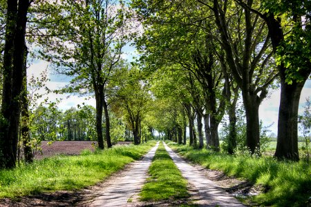 Wanderweg bei Ihrhove photo