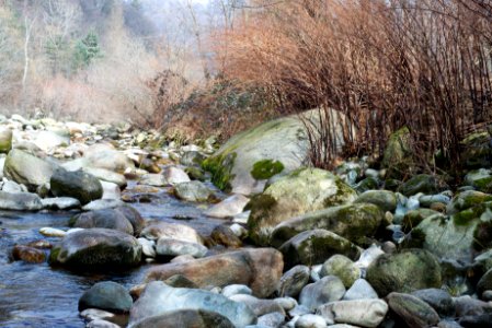 Chiusella river. Best viewed large.