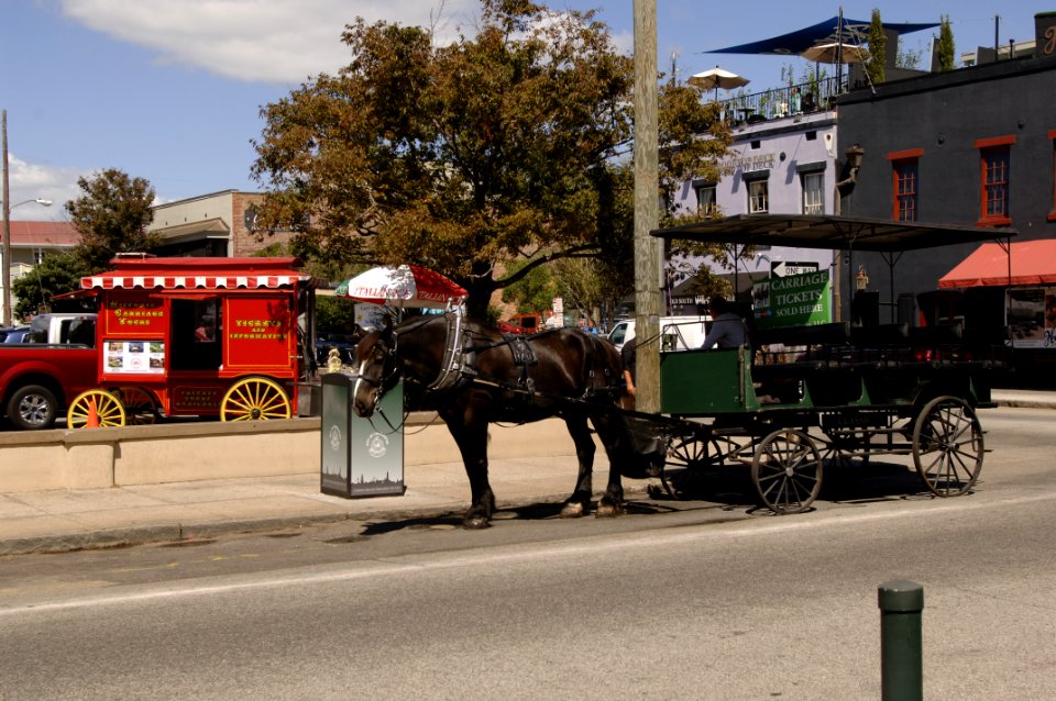 1909 Charleston sc 001