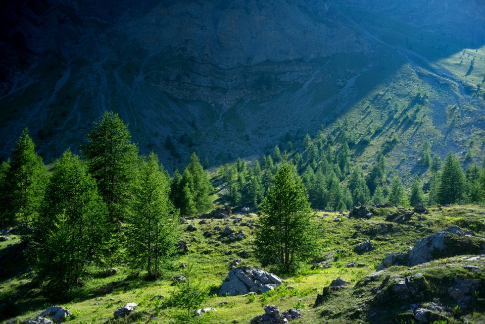 Maira Valley. Better viewed large.