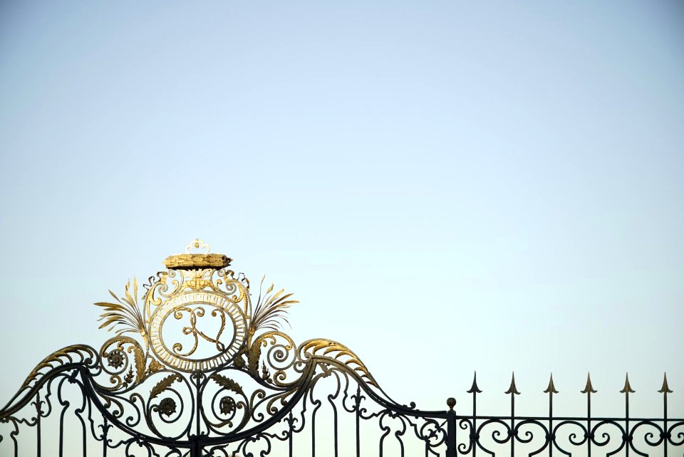 Savoy Royal Residence of Stupinigi. Details.