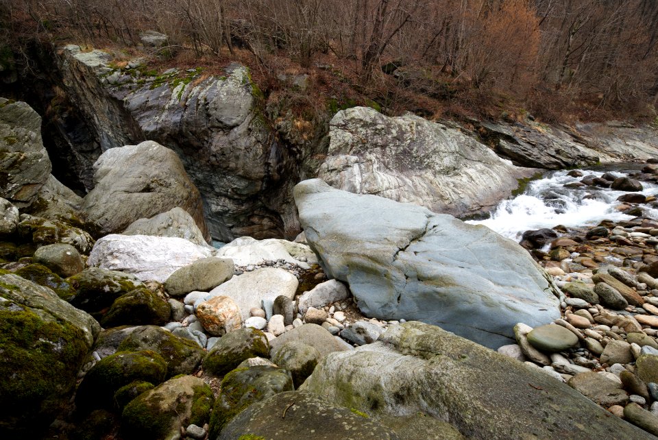 River and forest scene. Best viewed large.