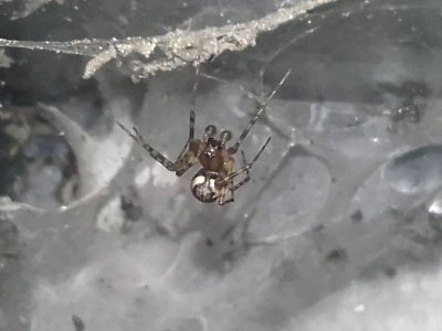 male - 20191122 032522