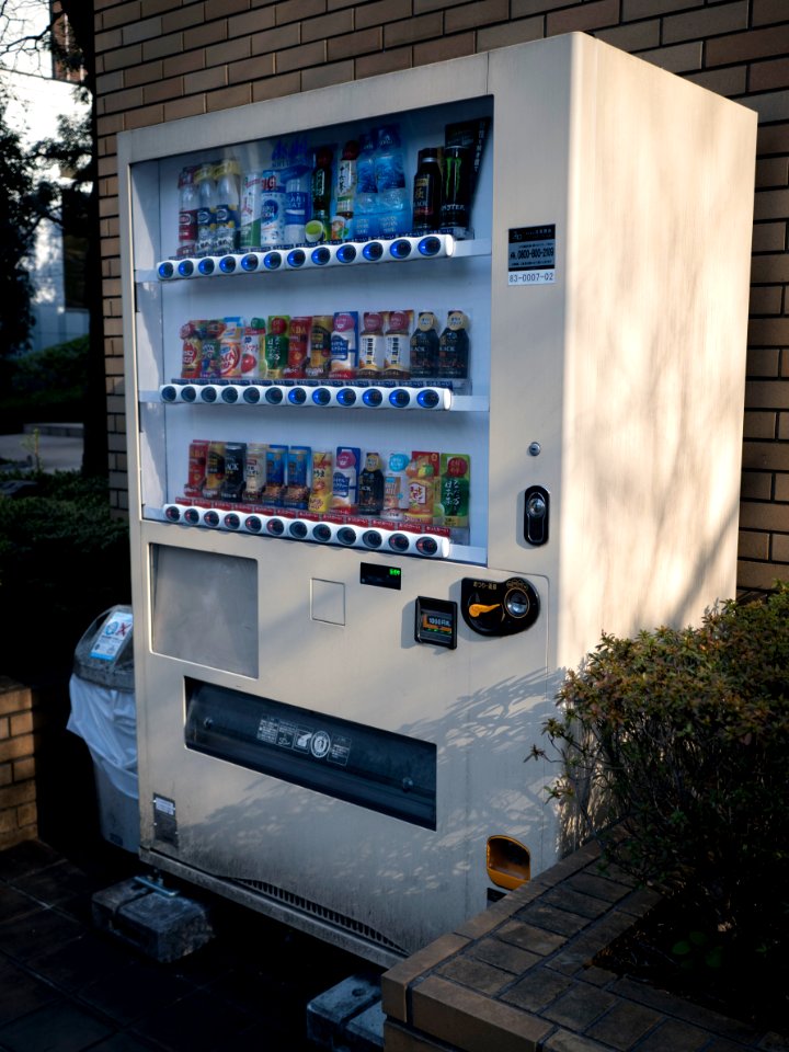 Ark Hills, Akasaka, Tokyo, 30th Jan