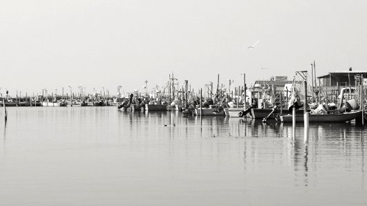 Po river delta. Gorino harbour.
