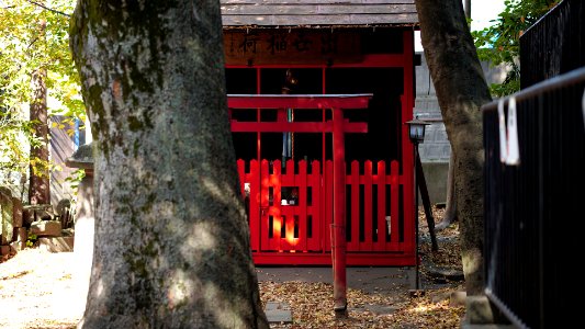 Mizonokuchi, 22nd Nov