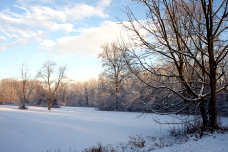Winter in the park. Best viewed large.