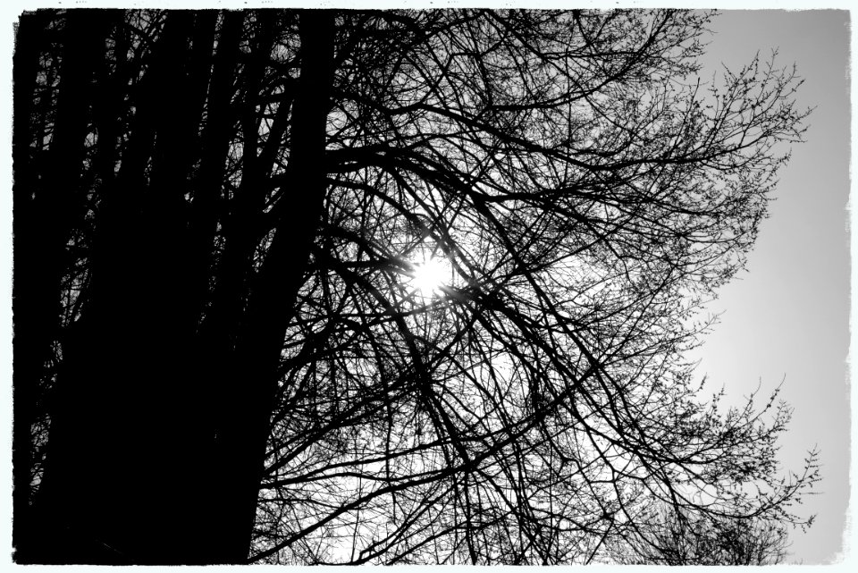 Park scene