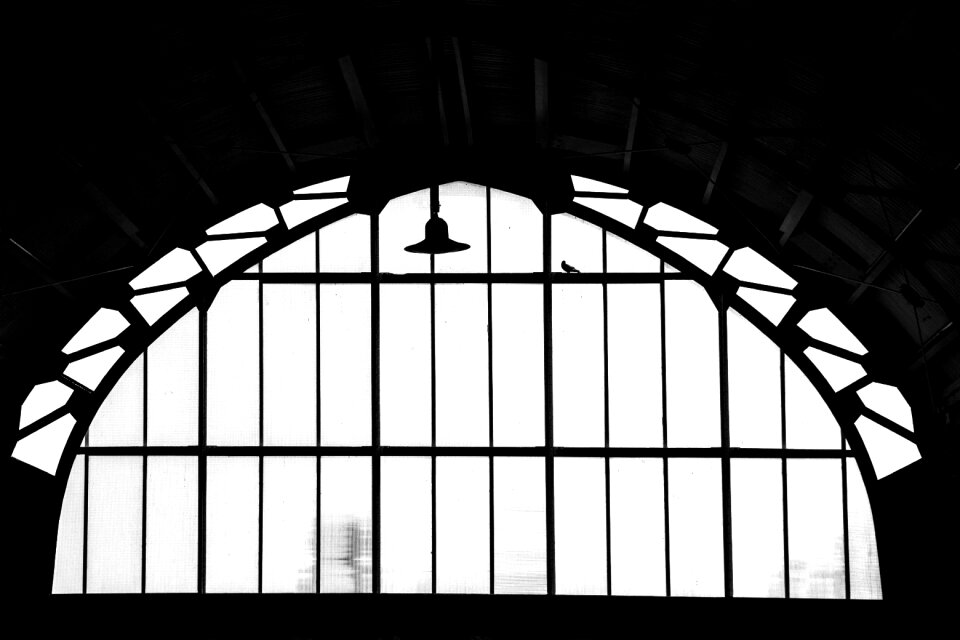 Station harlem bird