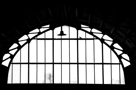 Station harlem bird