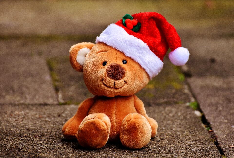 Soft toy santa hat funny
