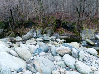 river/forest evening scene photo