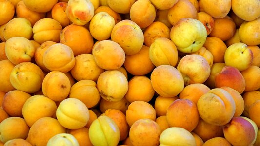 Food sweet nectarines