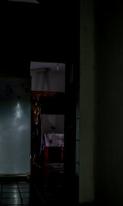 DSC 0003