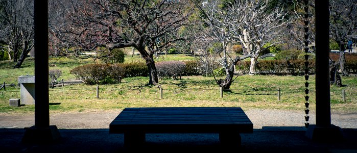 Hamarikyu Gardens, Tokyo, 6th Mar