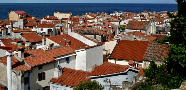 Piran Slovenia photo