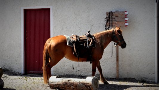 Italy Alto Adige photo