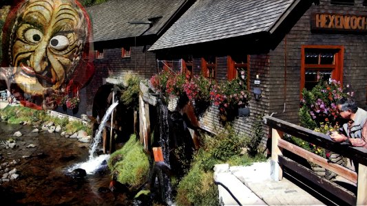 scary: Black Forest
