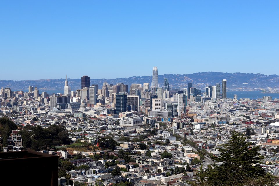 View of San Francisco from Twin Peaks photo