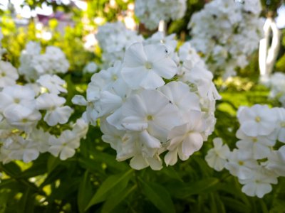 WP 20190816 17 52 39 Raw  highres
