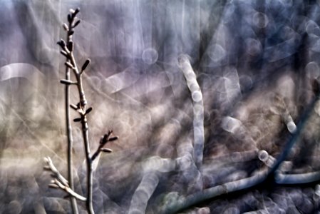 Not clear, but already spring