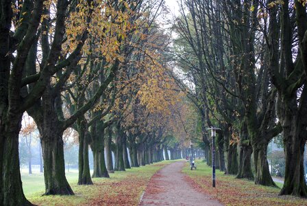 Outdoor natural path