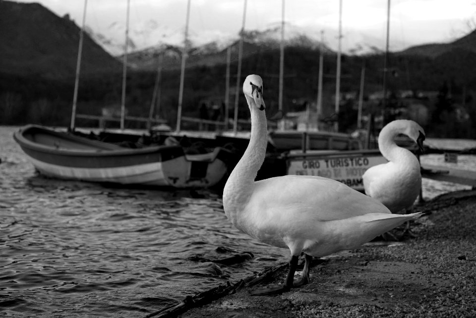 Boat trip? Best viewed large.