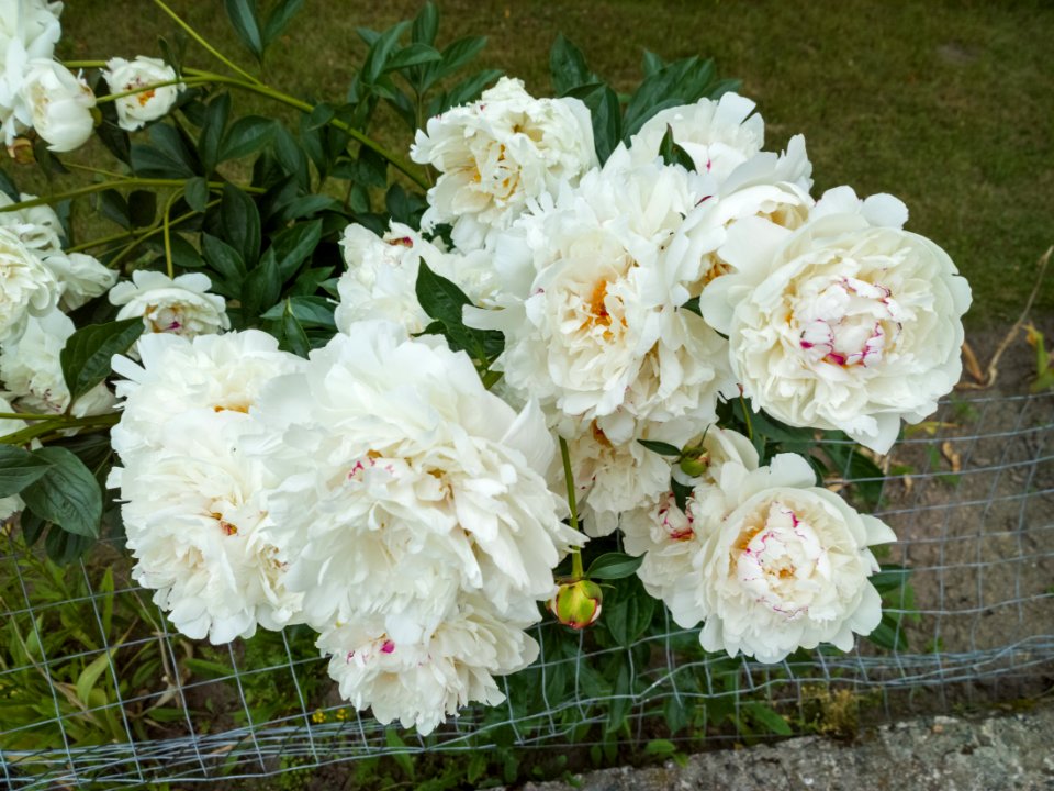 WP 20190620 20 44 47 Raw  highres