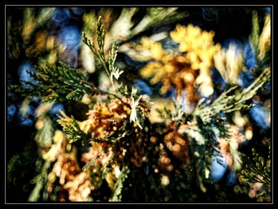Leaves scene
