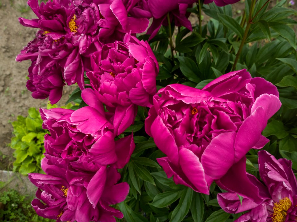 WP 20190620 20 46 51 Raw  highres 3