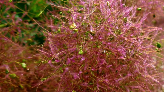 great colors of nature
