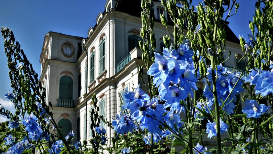 Park Schloss Wilhelmsthal