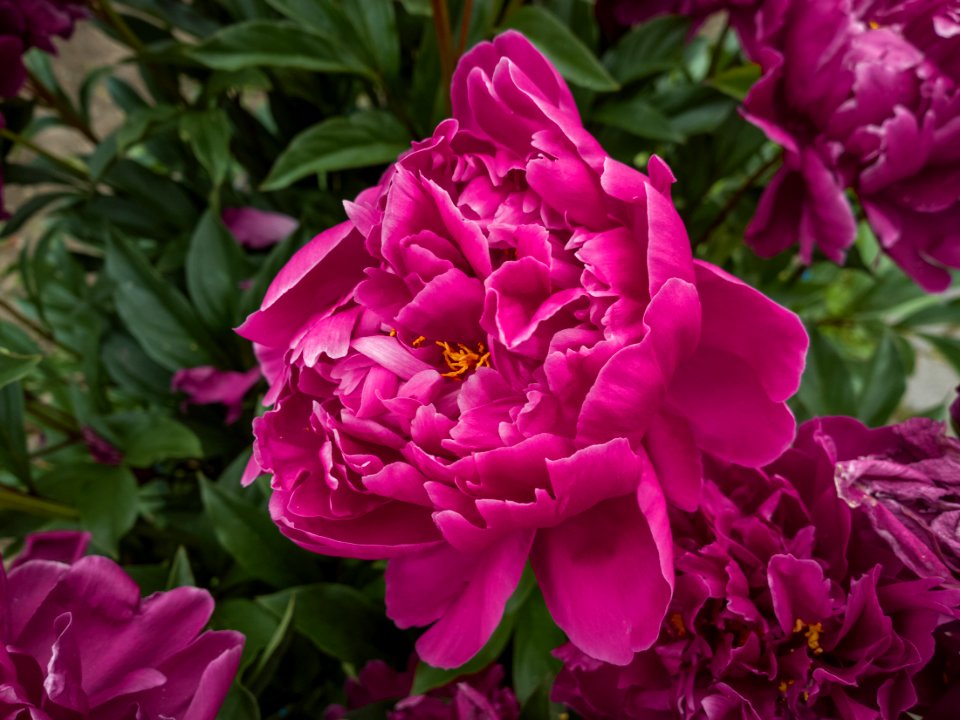 WP 20190620 20 44 07 Raw  highres