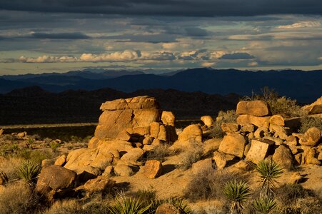 Landscape silhouettes desert