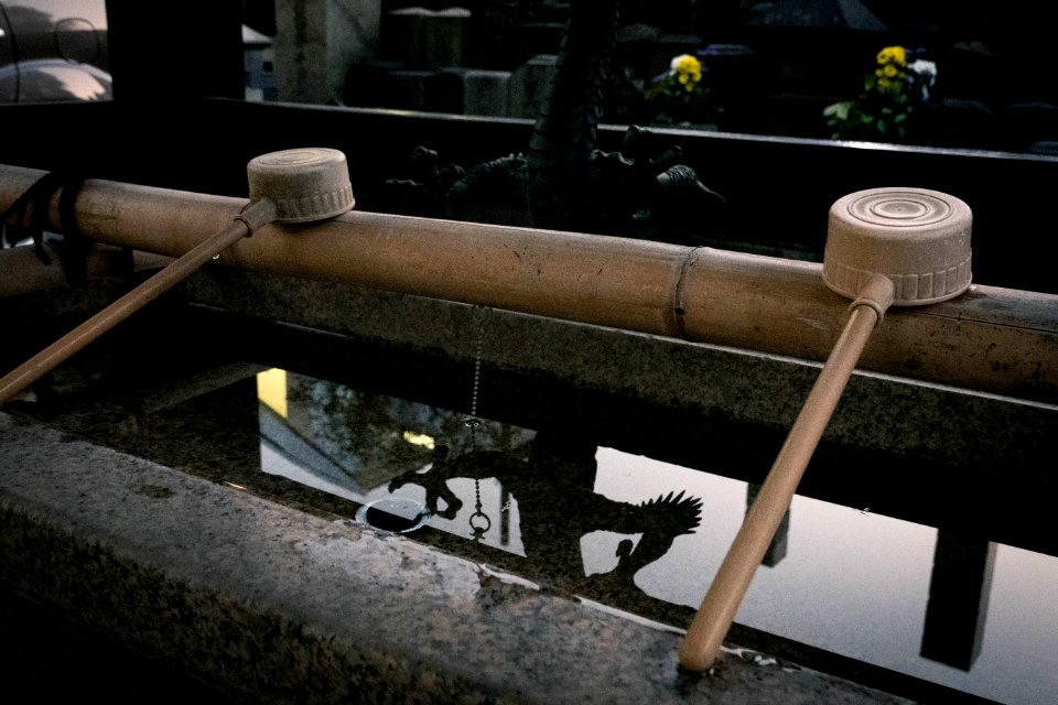 Zenko-ji, Omotesando, Tokyo, 20th Jan