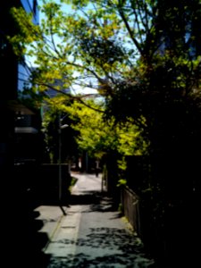 Mizonokuchi, 10th Apr