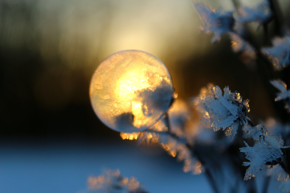 Eiskristalle sunset frozen bubble