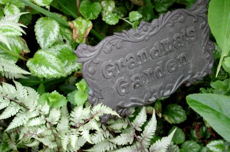 Grandma's Garden photo
