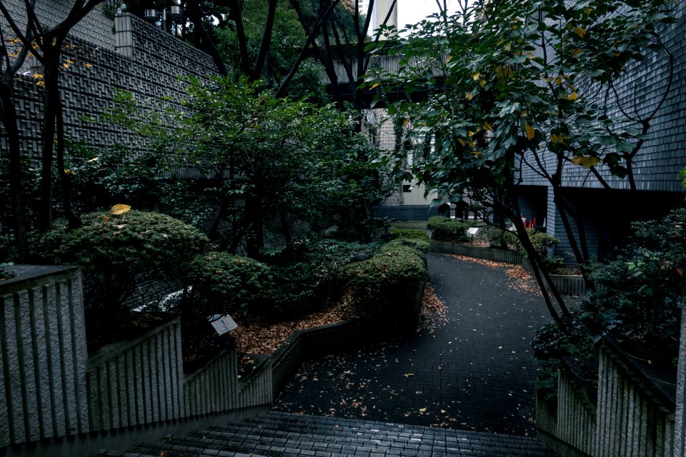 Ark Hills, Akasaka, Tokyo, 17th Dec