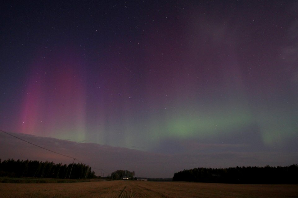 Auroras "last night" 12-13.9. photo